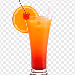 VectorStock Tequila sunrise